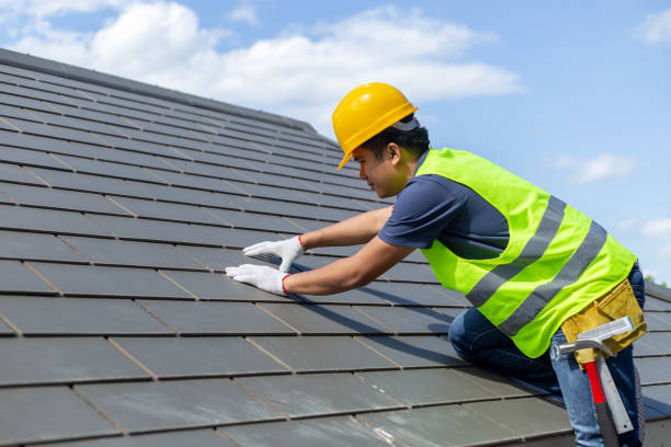 Best Roof Gutter Cleaning  in Etowah, NC