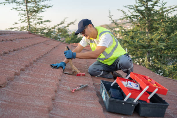 Best Roof Gutter Cleaning  in Etowah, NC